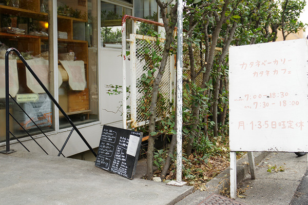 IMGP3162.JPG