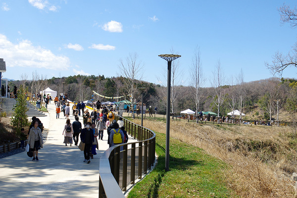 IMGP3799.JPG