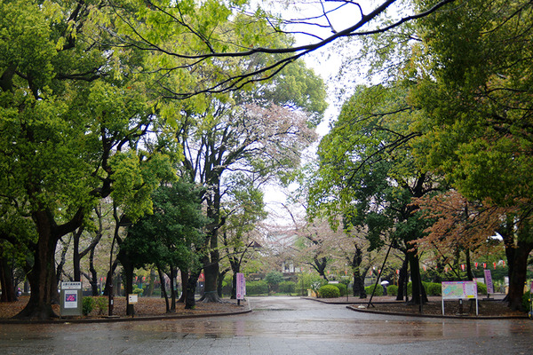 IMGP4244.JPG