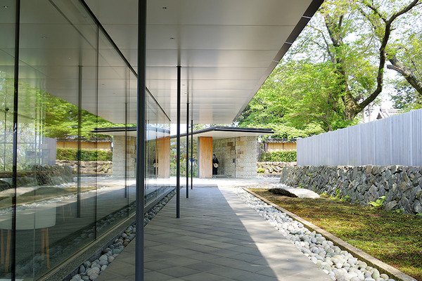 IMGP4447.JPG