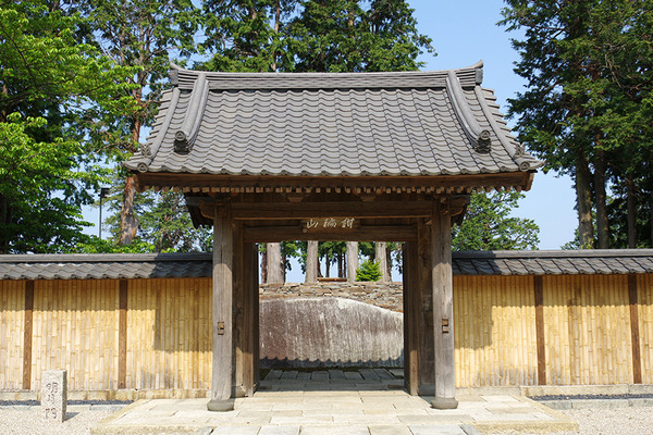 IMGP4478.JPG