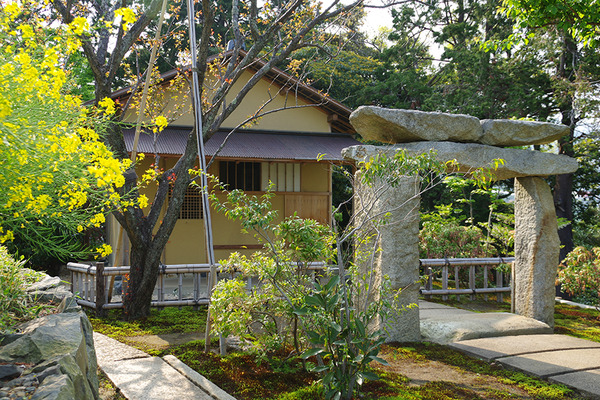 IMGP4542.JPG