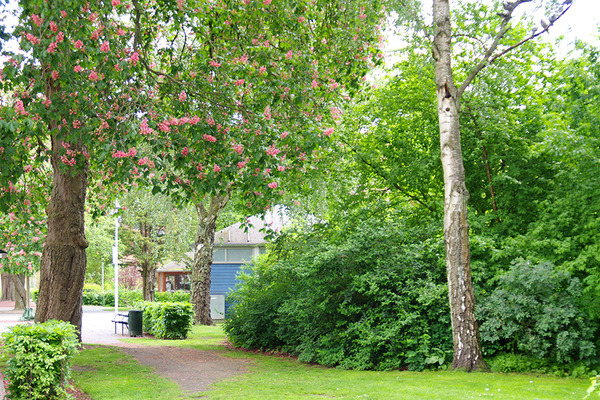 IMGP5340.JPG