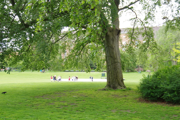 IMGP5345.JPG