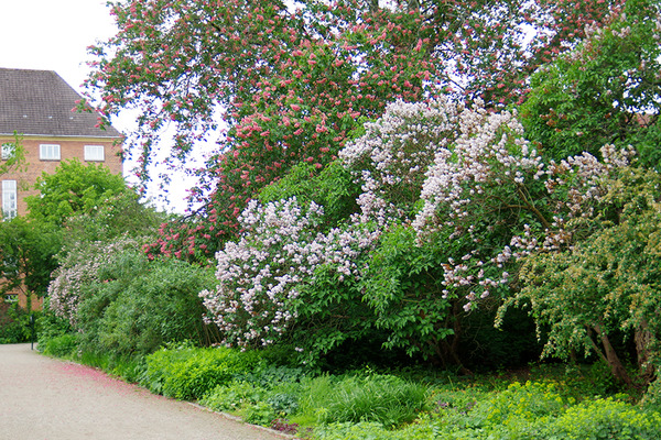 IMGP5346.JPG