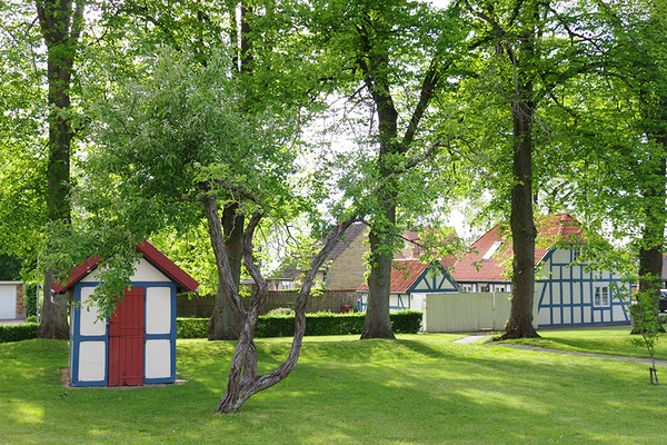 IMGP5515.JPG