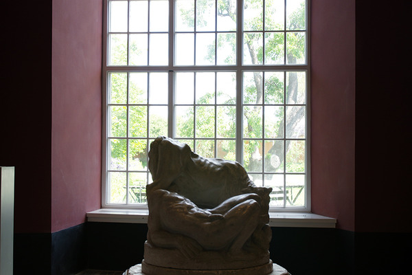 IMGP5693.JPG