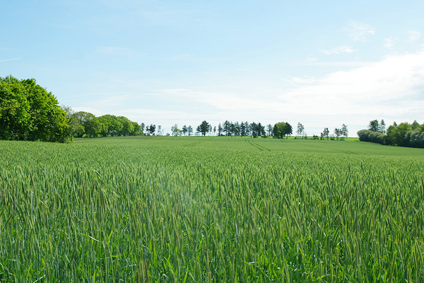 IMGP5888.JPG