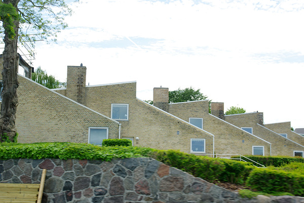 IMGP6211.JPG