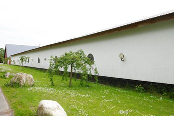 【北欧だより】千年の眠りから...