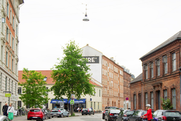 IMGP6725.JPG