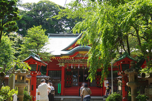 IMGP7322.JPG