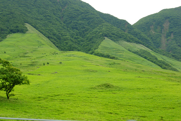 IMGP7425.JPG