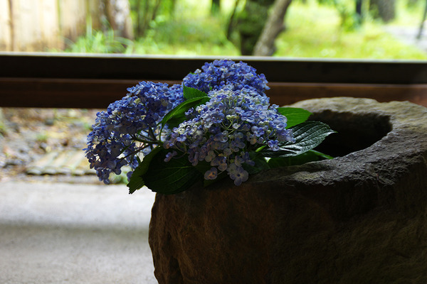 IMGP7837.JPG