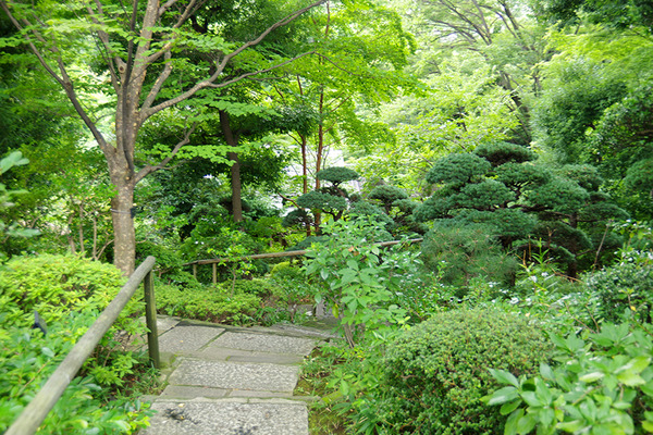 IMGP8393.JPG