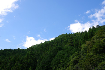【初秋さんぽ】檜原村の蕎麦ランチ