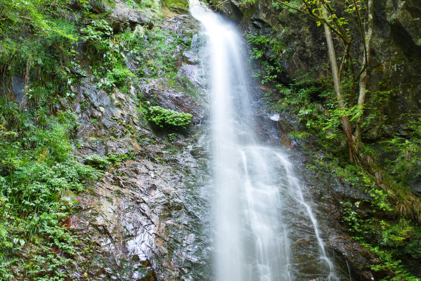 IMGP8851.JPG