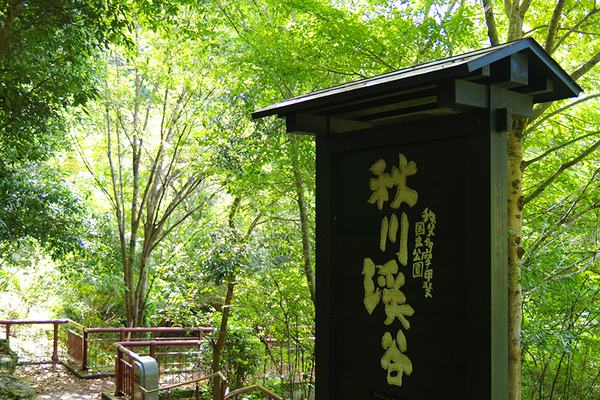IMGP8900.JPG