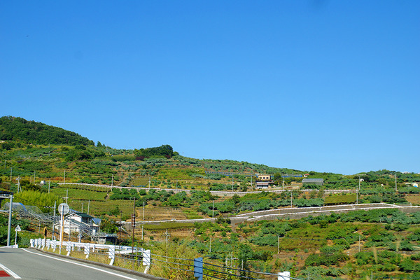 IMGP9324.JPG