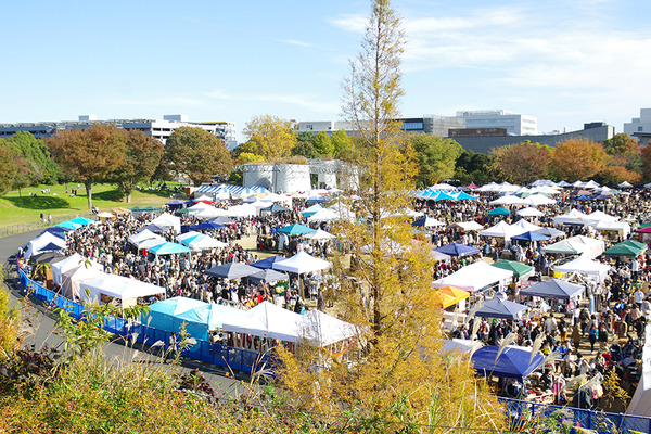 IMGP0122.JPG