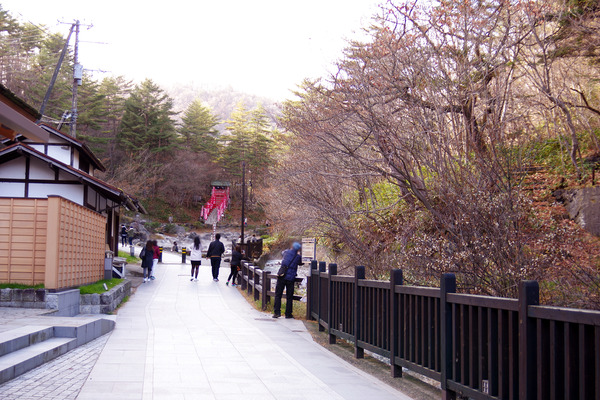 IMGP0468.JPG
