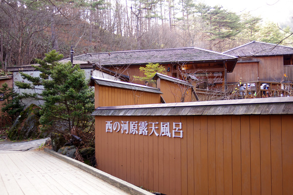 IMGP0481.JPG