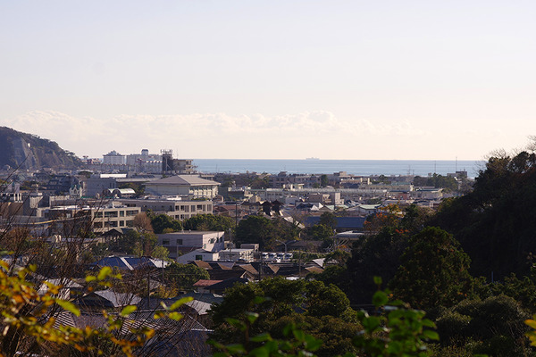 IMGP0809.JPG