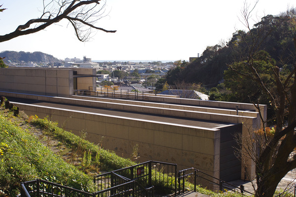 IMGP0817.JPG