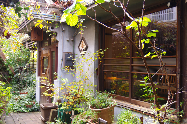 IMGP0912.JPG