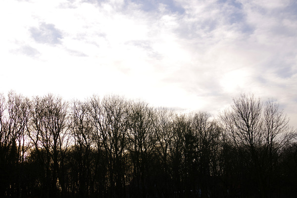IMGP1346.JPG