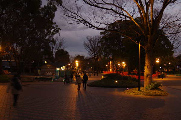IMGP2328.JPG