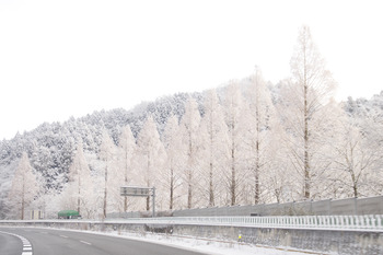 【COFFEE】 HEYモーニングと雪景色 ＠ 仙台