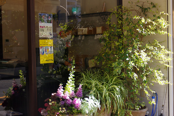IMGP3256.JPG
