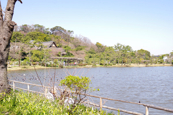 IMGP3386.JPG