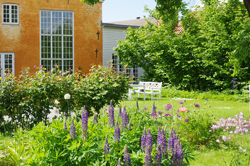 【杜の北欧市】開催延期のお知らせ