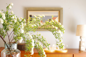 【日々のこと】ペンキにまみれて