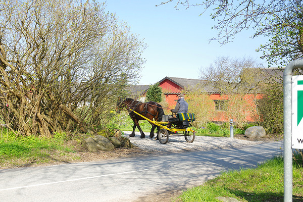 imgp1292.jpg