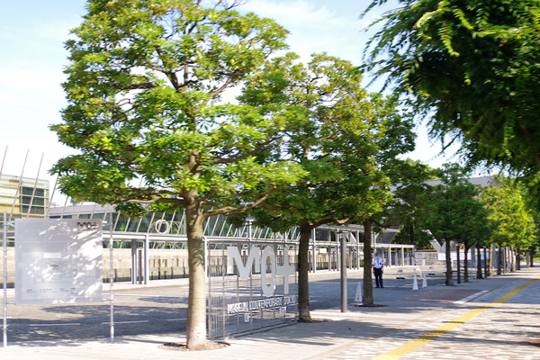 IMGP4785.jpg