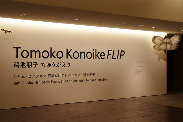 IMGP5520.JPG