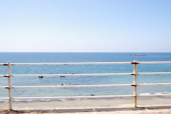 【LUNCH】SPICE TREE ＠逗子