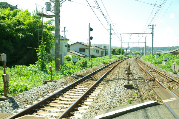 IMGP5916.JPG