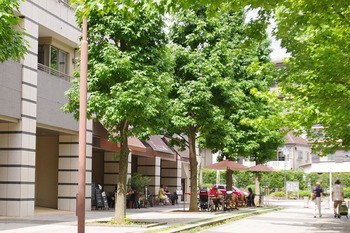 【ごほうびスイーツ】Patisserie Etienne ＠新百合ヶ丘