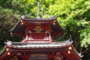 【秋たび】観音さまに水澤うどん