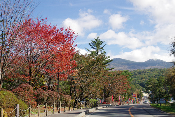 IMGP7573.JPG