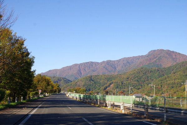 IMGP7854.JPG