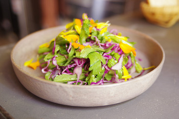 【LUNCH】bistro did ＠ 都立大学