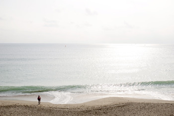 【晩秋さんぽ・SWEETS】The Market SE1 ＠ 湘南