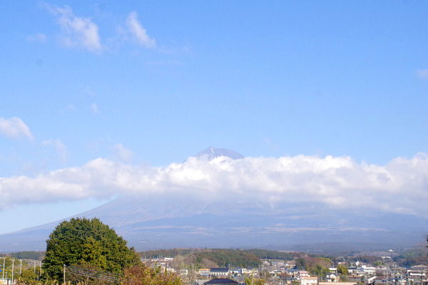 IMGP9048.JPG