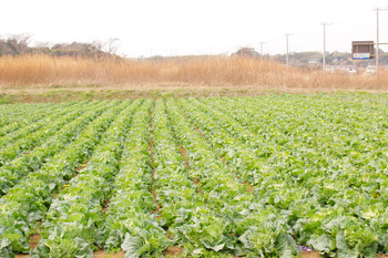ただ今、移動中。