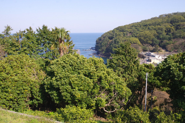 IMGP0005.JPG